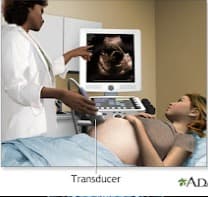 Ultrasound Session